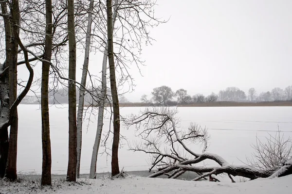 Panorama Ilhas Lago Congelado Horizonte Nebuloso Neve Árvores — Fotografia de Stock