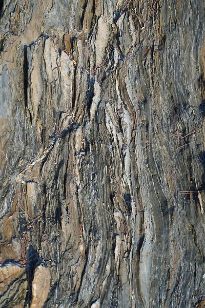 Textura Roca Acantilado Junto Mar Bloque Piedra —  Fotos de Stock