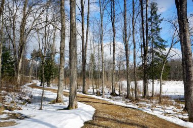     Bahar manzarası. Baharın başında güneşli soğuk bir gün. Mart 'ın ilk günleri. Mavi parlak gökyüzü. Kar yağışıName.                           