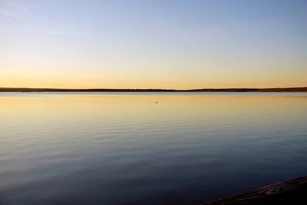 Alvorada Noite Sobre Lago Florestal Reflexão Céu Campo Pato Solitário — Fotografia de Stock