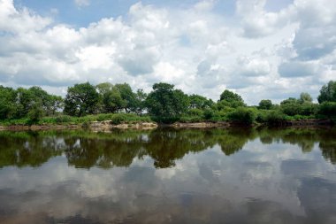       Yaz sıcağı. Temmuzda Pripyat nehri. Bulutlar ve gökyüzü. Kıyıdaki meşeler ve ağaçlar. Yansıma                         