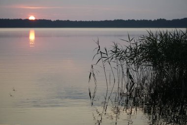 Temmuz 'da yaz akşamı. Sıcak bir günün ardından gölün üzerinde gün batımı. Sessiz cazibe ve yansıma. Ufuk                               