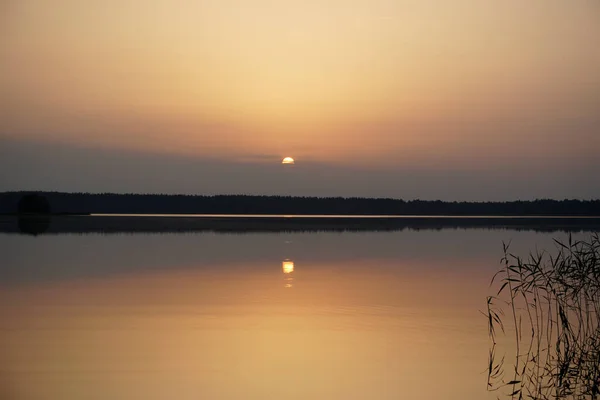 Noche Verano Julio Puesta Sol Sobre Lago Después Día Caluroso — Foto de Stock