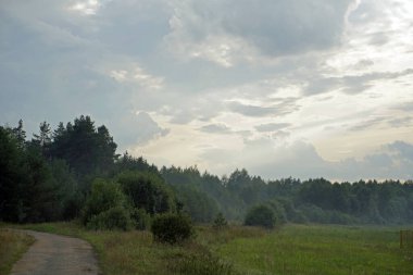    Yağmurdan sonraki akşam tarlasında. Manzara. Güzel bulutlar. Sis                            