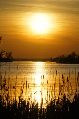            Nisan 'da göl üzerinde gün batımı. Sessiz, sıcak, berrak bir akşam ve suyun üstünde ördekler.                   