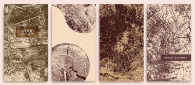 Ağaç gövdesi kesitleri ve büyüme halkaları olan posterler. Menüler, broşürler, kapaklar, broşürler, el ilanları, arka planlar ve eko tasarımı için botanik ahşap dokusu çizimi.