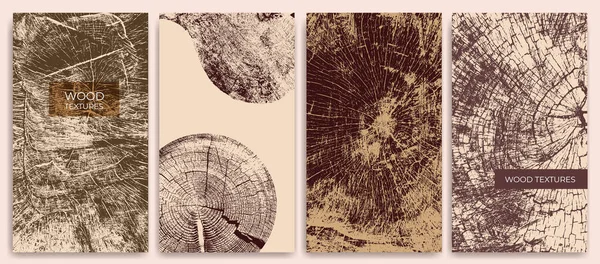 Ağaç gövdesi kesitleri ve büyüme halkaları olan posterler. Menüler, broşürler, kapaklar, broşürler, el ilanları, arka planlar ve eko tasarımı için botanik ahşap dokusu çizimi.