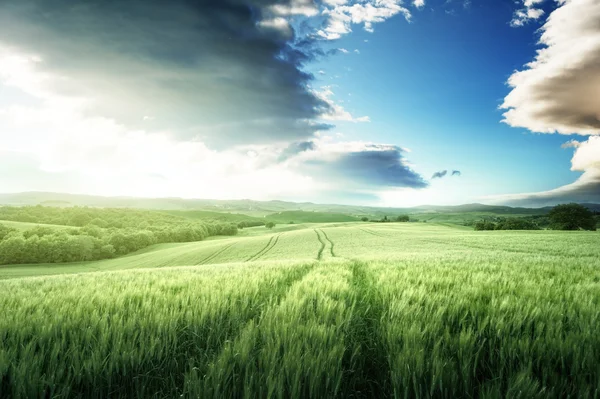 Toskana günbatımı, İtalya