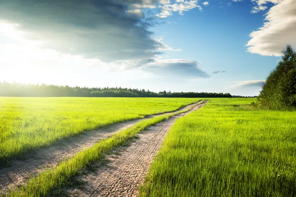 Föld út és a mező, a tavaszi fű — Stock Fotó