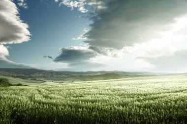Bahar günbatımı Toskana, İtalya