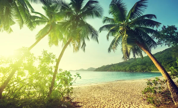 Solnedgång på stranden takamaka, Maheön, Seychellerna — Stockfoto