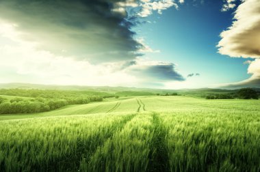 Toskana günbatımı, İtalya