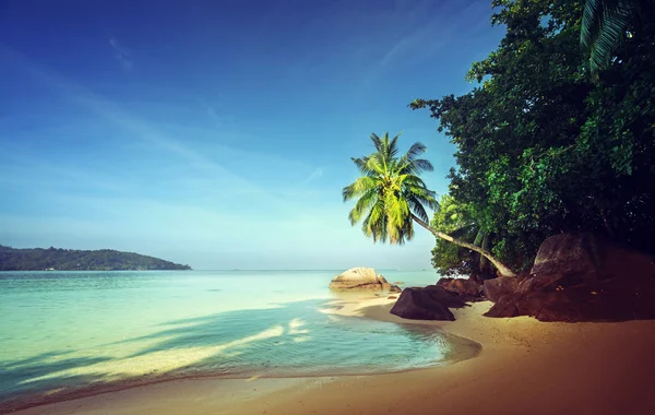 Sabah erken, Seyşeller beach — Stok fotoğraf