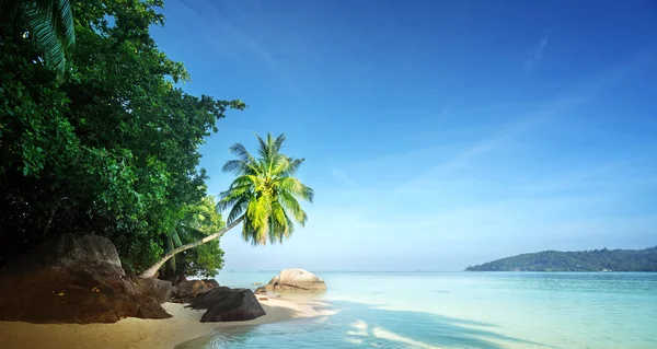 Mattina presto, spiaggia delle Seychelles — Foto Stock