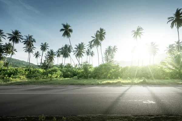 Estrada vazia na selva das ilhas Seychelles — Fotografia de Stock