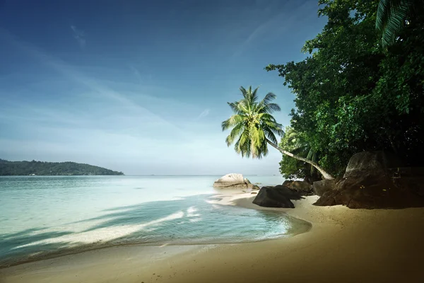 Mattina presto, spiaggia delle Seychelles — Foto Stock