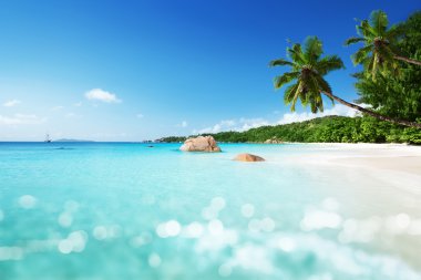 günbatımı zamanı, tilt shift yumuşak efekti Beach'de 