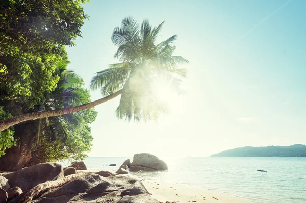 Manhã cedo, praia das Seychelles — Fotografia de Stock