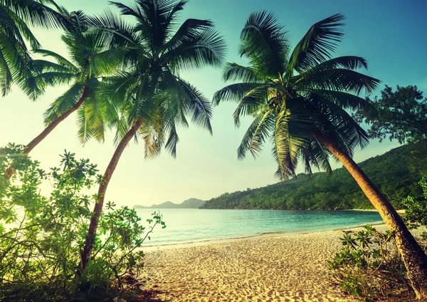 Puesta de sol en la playa Takamaka, Isla Mahe, Seychelles —  Fotos de Stock