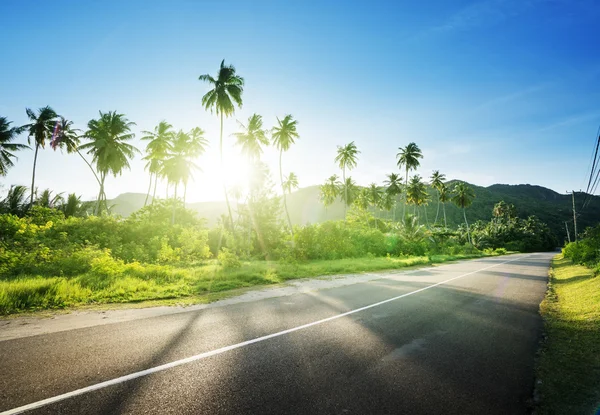 Strada vuota nella giungla delle isole Seychelles — Foto Stock