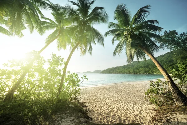 Apus de soare pe plajă Takamaka, Insula Mahe, Seychelles — Fotografie, imagine de stoc