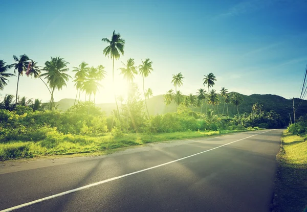 Leere Straße im Dschungel der Seychellen — Stockfoto