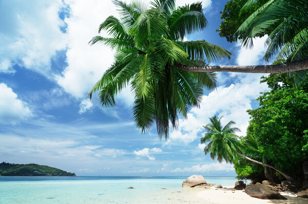 beach on Mahe island in Seychelles