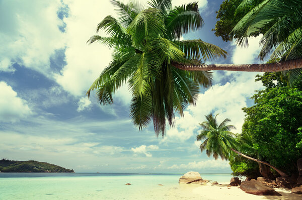 beach on Mahe island in Seychelles