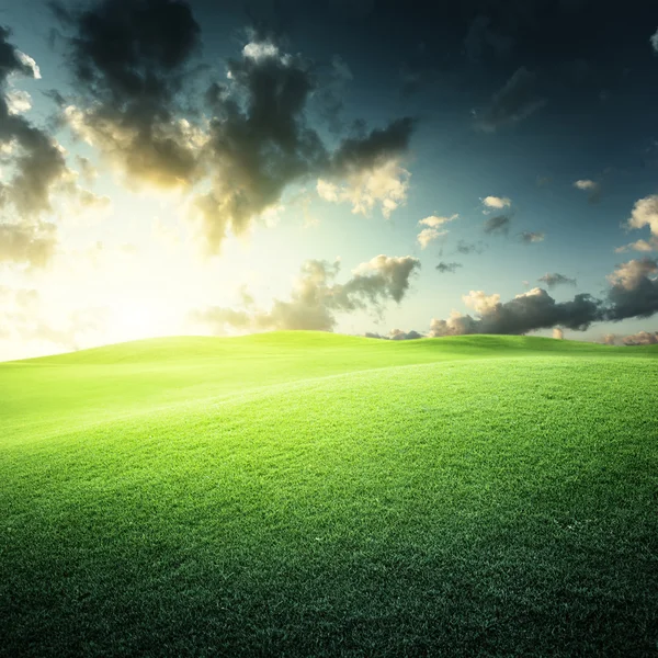 Zonsondergang en veld van groen gras — Stockfoto