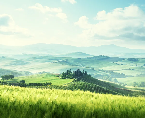 Morning in Tuscany, Italy — Stock Photo, Image