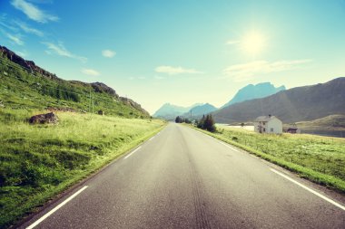 yol ve sis, Lofoten Adası, Norveç