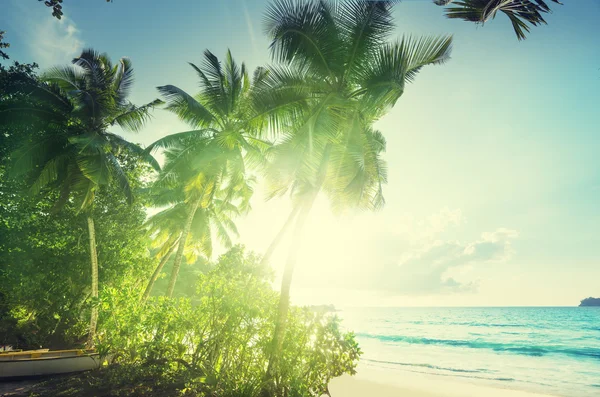 Pôr do sol na praia, ilha de Mahe, Seychelles — Fotografia de Stock