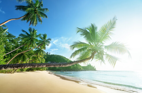 sunset on the beach, Mahe island, Seychelles