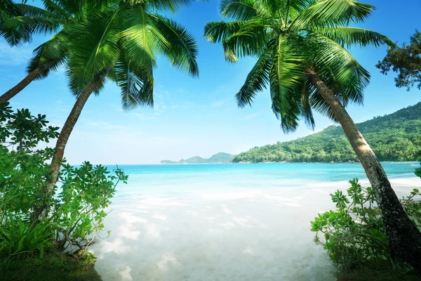 Stranden takamaka, Maheön, Seychellerna — Stockfoto