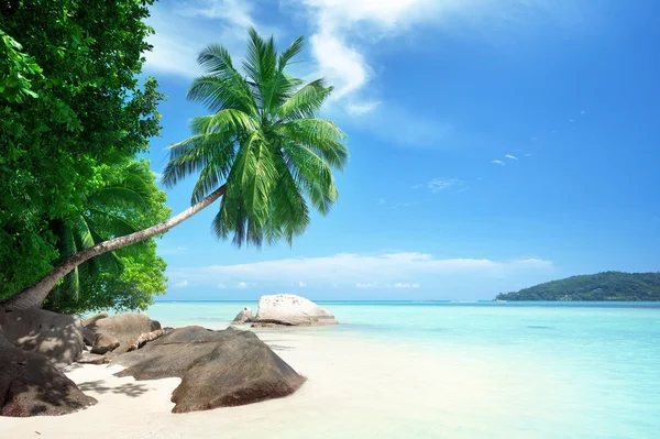 Praia na ilha de Mahe em Seychelles — Fotografia de Stock