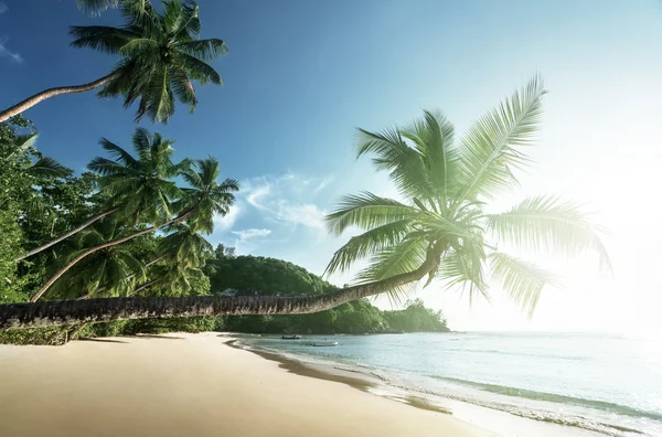 Coucher de soleil sur la plage, île de Mahe, Seychelles — Photo