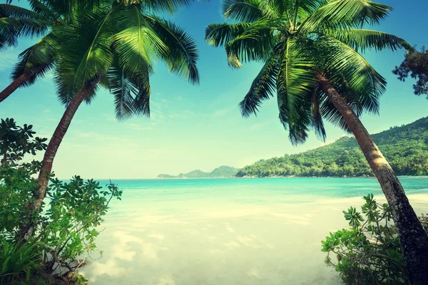 Пляж Такамака, остров Маэ, Сейшельские острова — стоковое фото