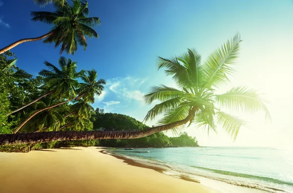 Atardecer en la playa, Isla Mahe, Seychelles — Foto de Stock