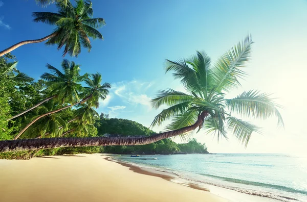 Zonsondergang op het strand, Mahe eiland, Seychellen — Stockfoto