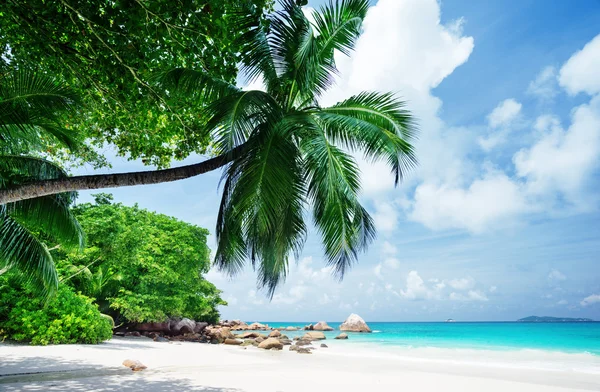 Spiaggia tropicale delle Seychelles — Foto Stock