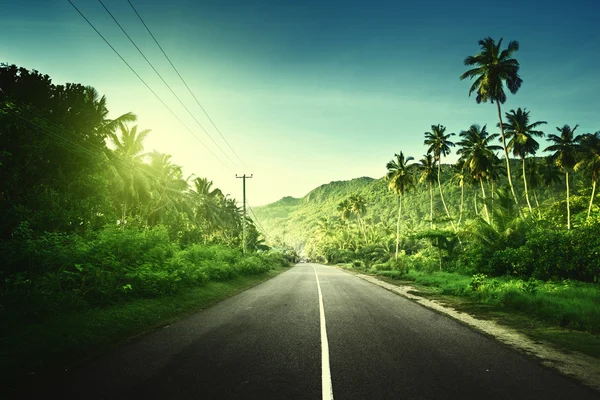 Pustej drodze w dżungli wysp Seszeli — Zdjęcie stockowe