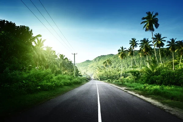 Empty road in jungle of Seychelles islands — Stock Photo, Image