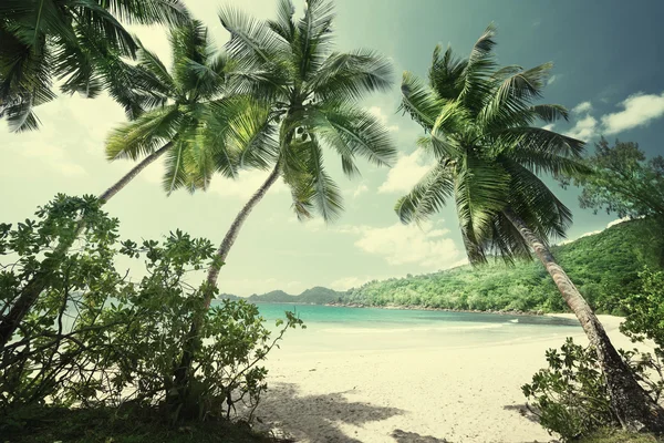 Spiaggia tropicale delle Seychelles — Foto Stock