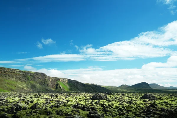 Мшиста вулканічну, Ісландія — стокове фото