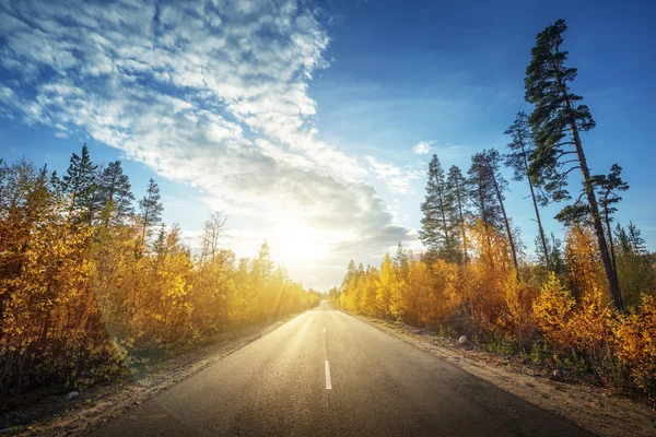 Weg in Noord-forest in de herfst tijd — Stockfoto