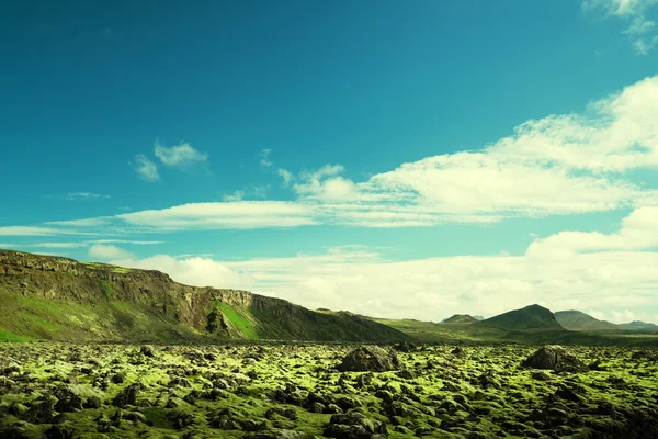 Мшиста вулканічну, Ісландія — стокове фото