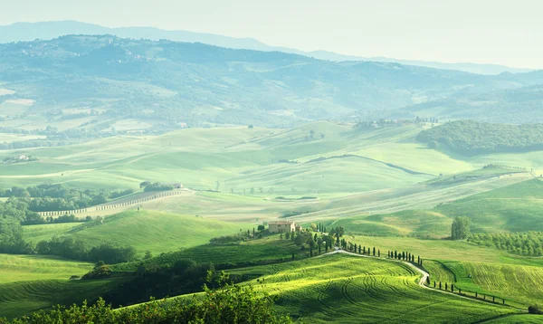 Paesaggio a ramoscello toscano, Italia — Foto Stock