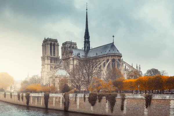 Notre Damkatedralen Paris Frankrike — Stockfoto
