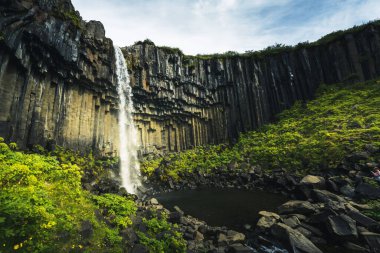 Svartifoss, Kara Şelale, İzlanda