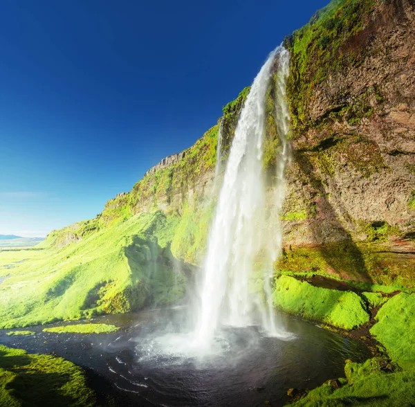 Seljalandfoss Vízesés Nyáron Izland — Stock Fotó